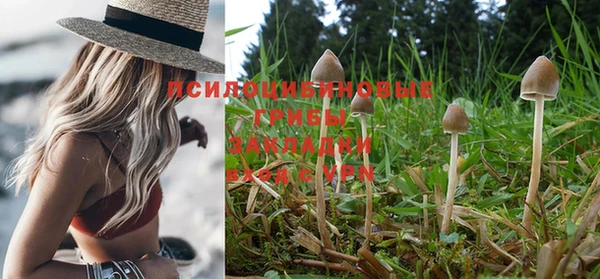 наркотики Зеленокумск