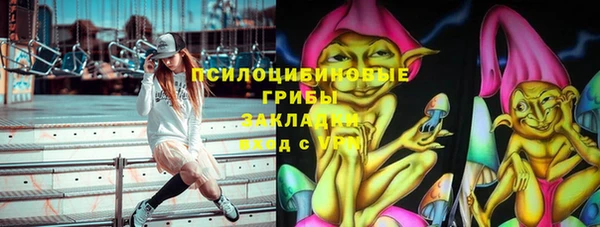 шишки Зерноград