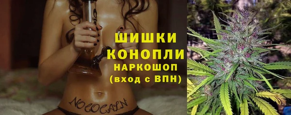 шишки Зерноград