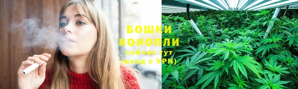 шишки Зерноград